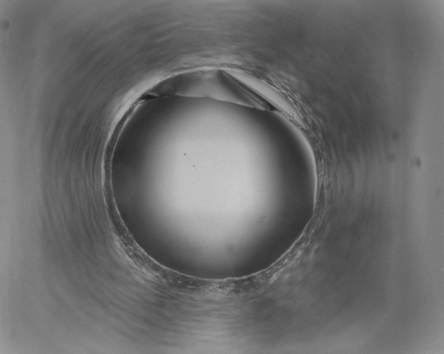 X0000060580148200511241350