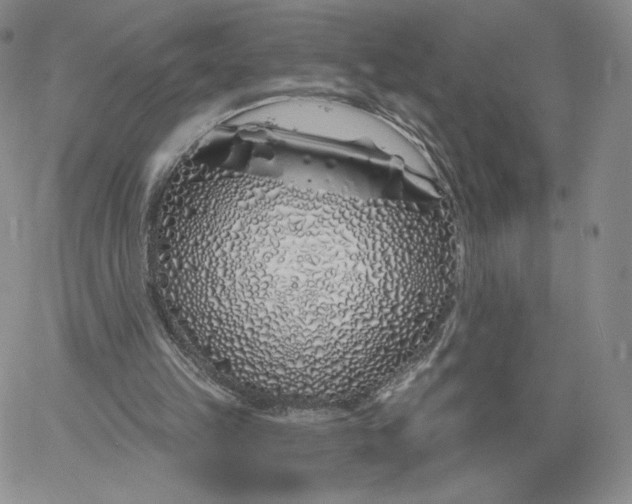 X0000060580149200511241350