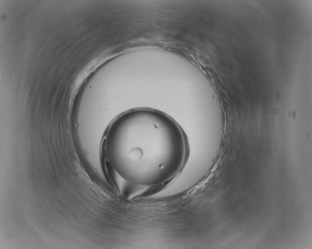 X0000060580150200511241350