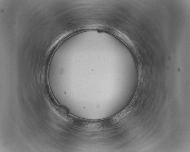 X0000060580155200511241350