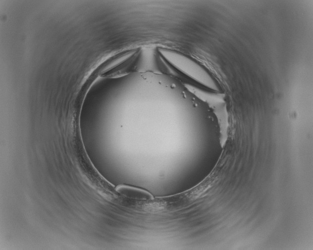 X0000060580156200511241350