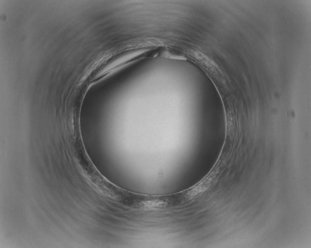 X0000060580158200511241350