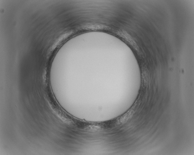 X0000060580159200511241350