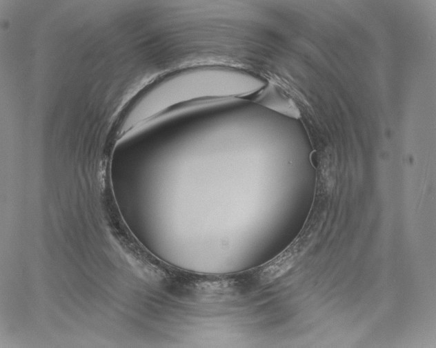 X0000060580160200511241350