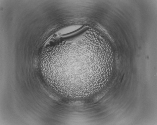 X0000060580161200511241350