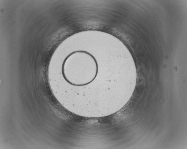 X0000060580162200511241350