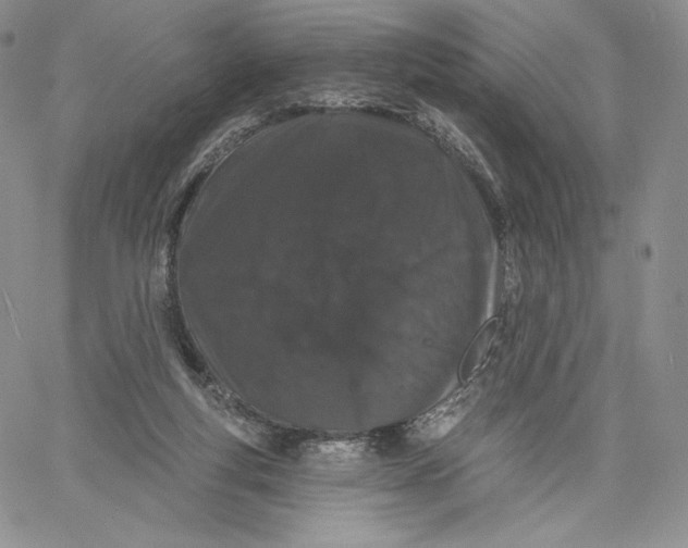 X0000060580163200511241350