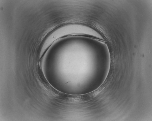 X0000060580164200511241350