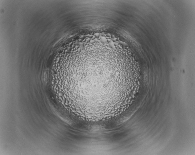 X0000060580165200511241350