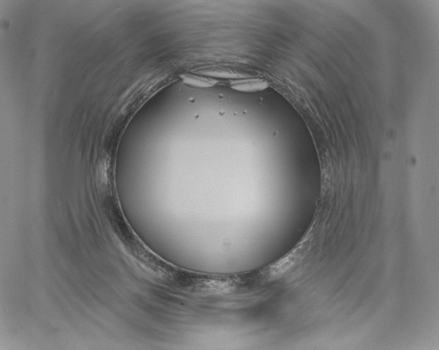 X0000060580166200511241350