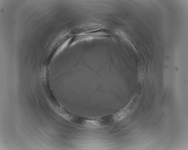 X0000060580167200511241350