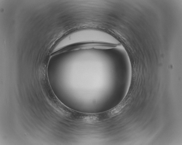 X0000060580168200511241350