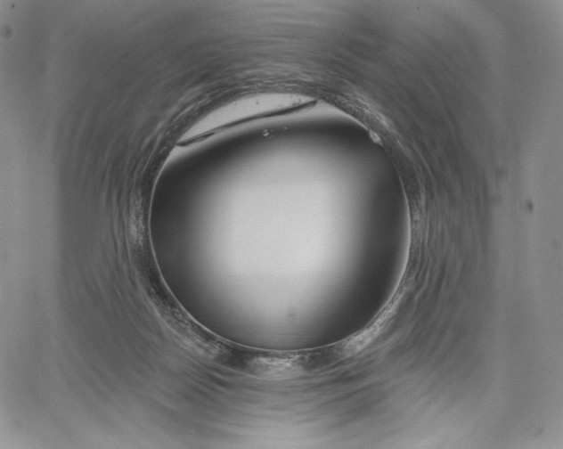 X0000060580170200511241350