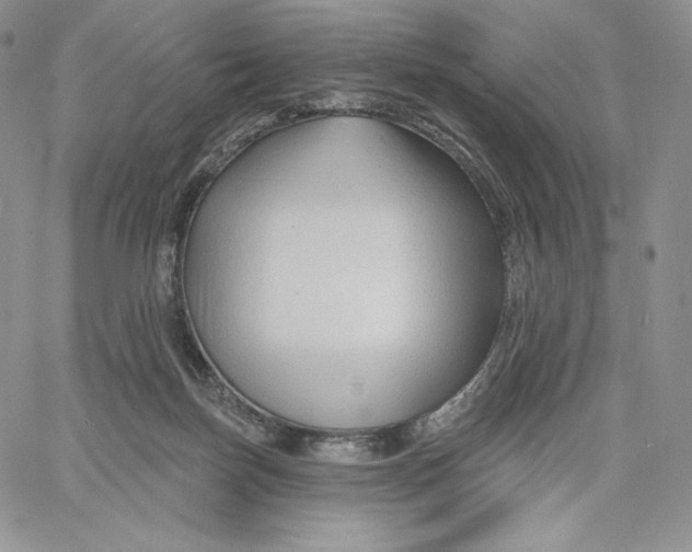 X0000060580171200511241350