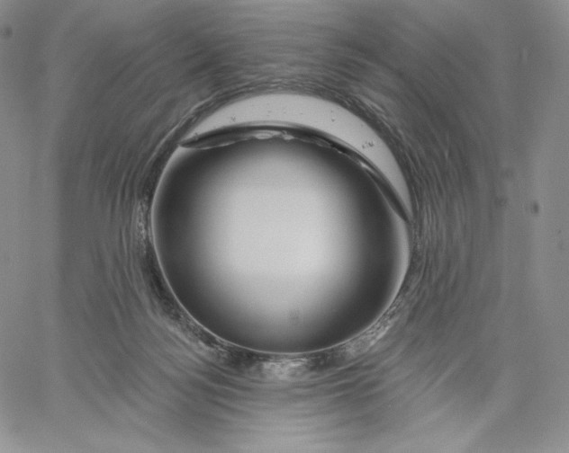 X0000060580172200511241350