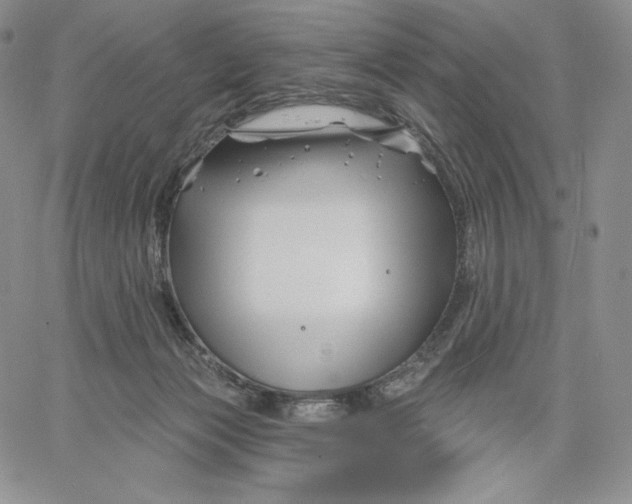 X0000060580173200511241350