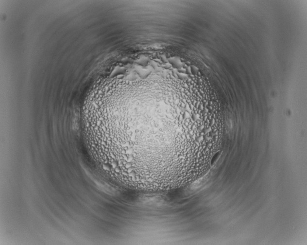 X0000060580175200511241350