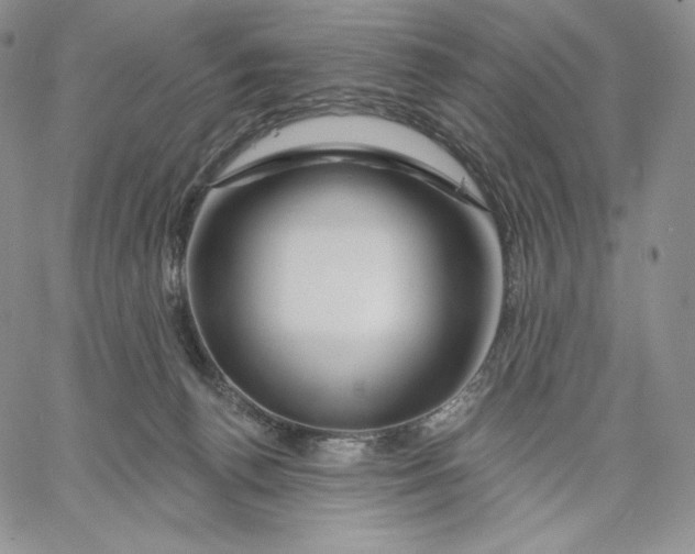 X0000060580176200511241350