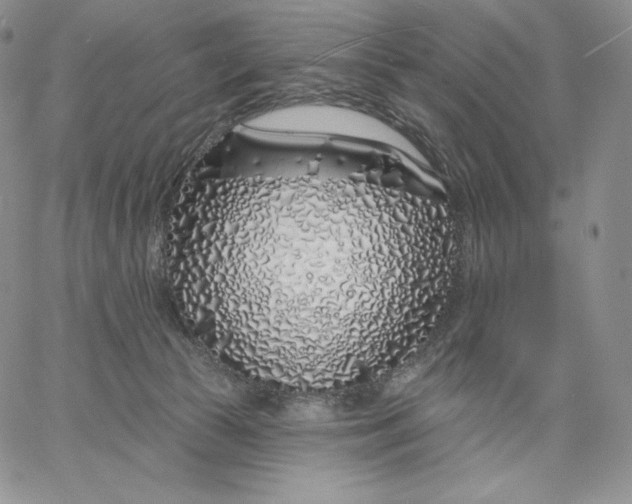 X0000060580177200511241350