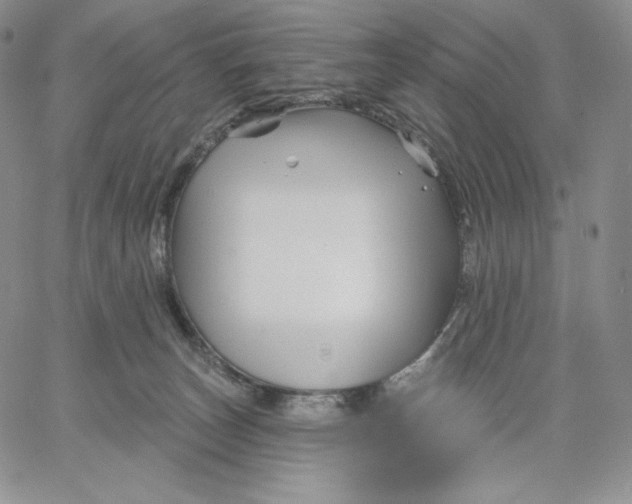 X0000060580179200511241350