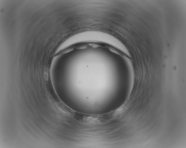 X0000060580180200511241350