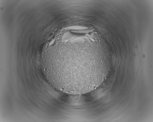 X0000060580181200511241350