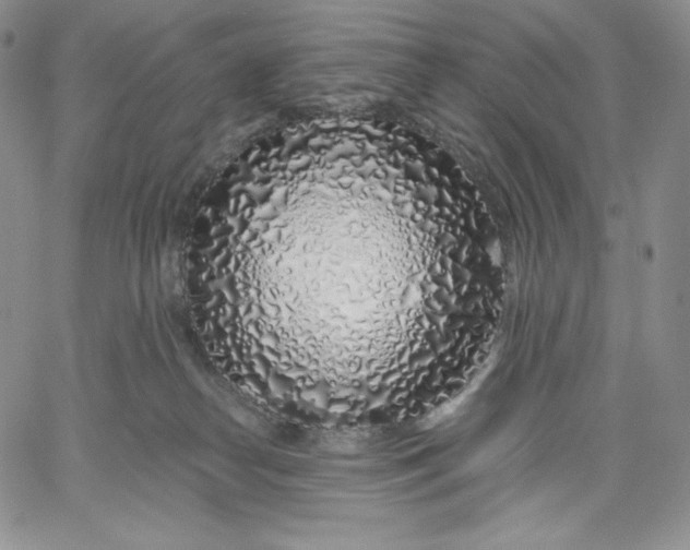 X0000060580182200511241350