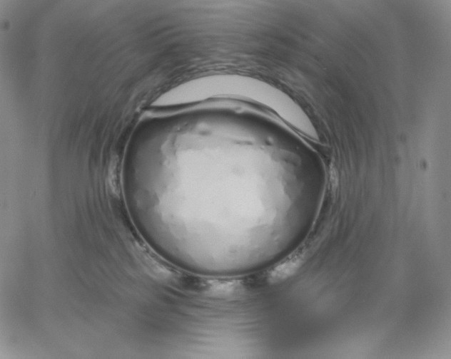 X0000060580185200511241350