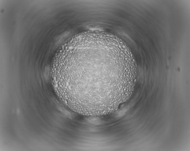 X0000060580189200511241350