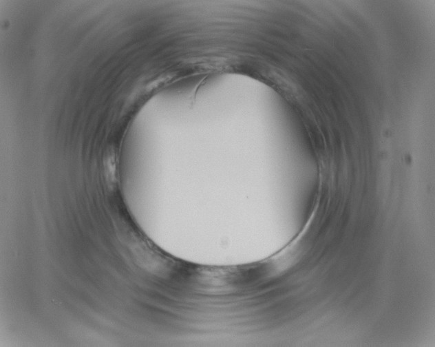 X0000060580190200511241350