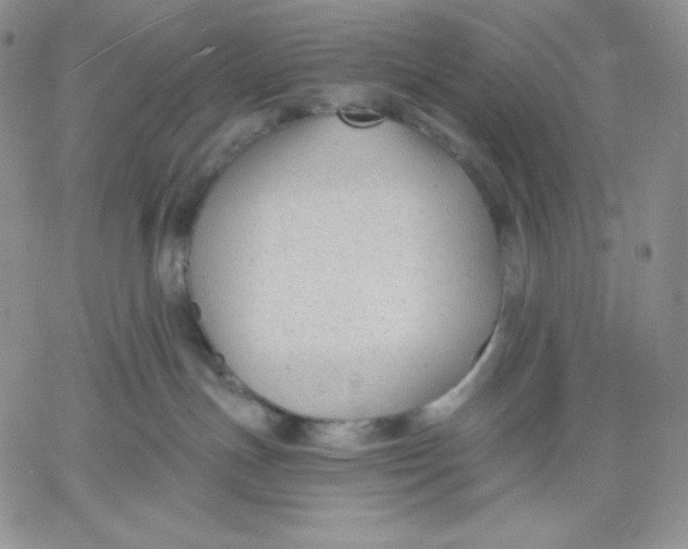 X0000060580191200511241350