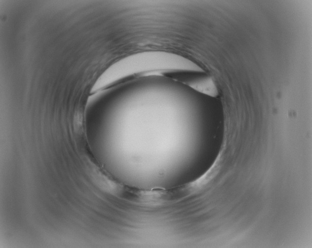 X0000060580192200511241350