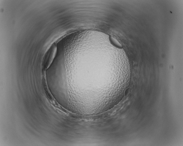 X0000060580194200511241350