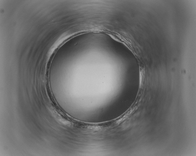 X0000060580195200511241350