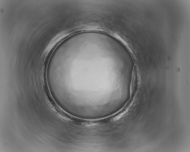 X0000060580199200511241349