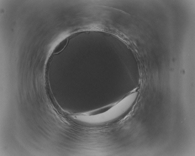 X0000060580200200511241349