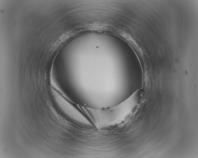 X0000060580201200511241349