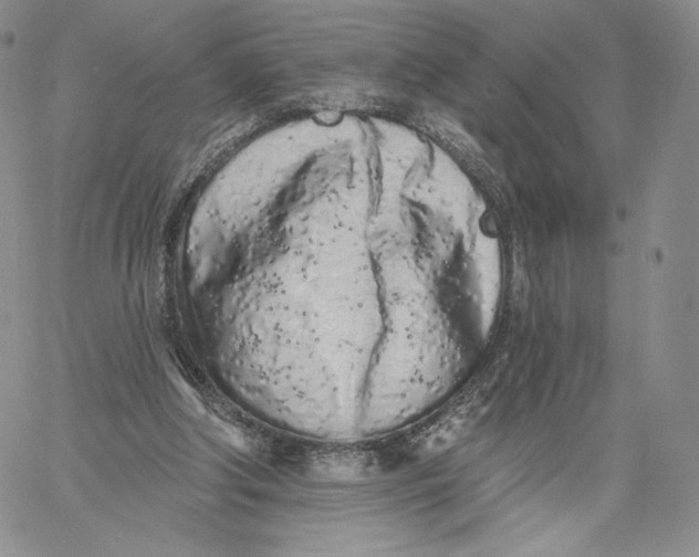 X0000060580202200511241349