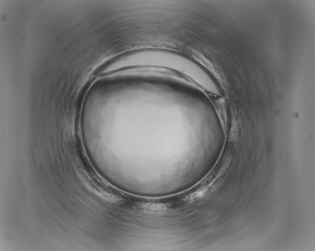 X0000060580203200511241349