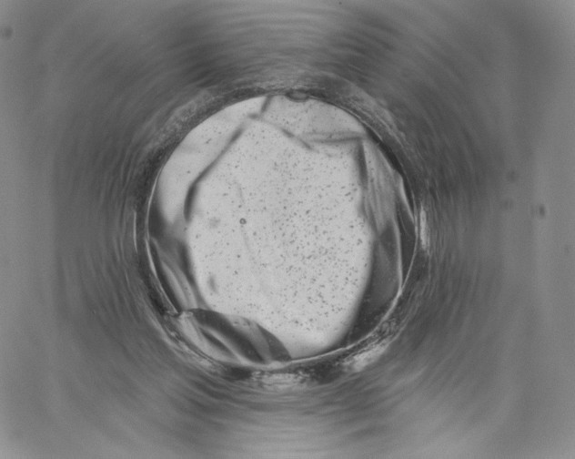 X0000060580205200511241349