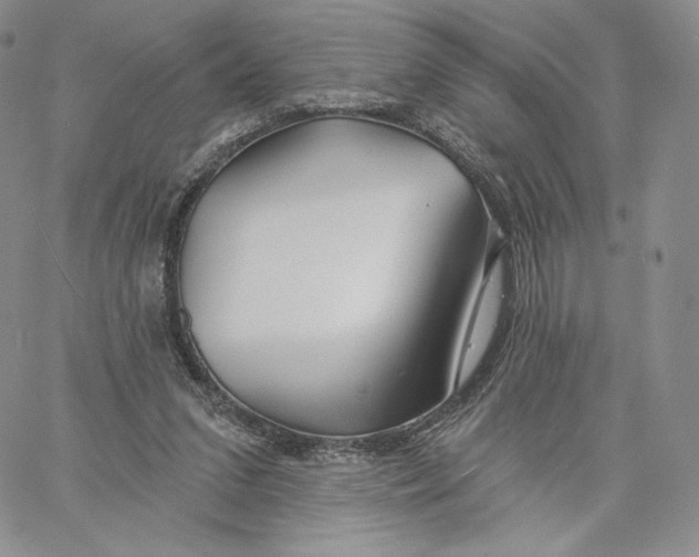 X0000060580207200511241349