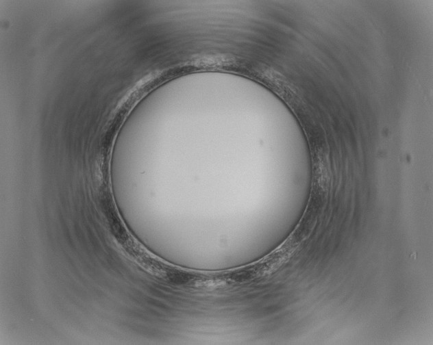 X0000060580208200511241349