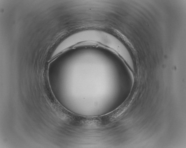 X0000060580209200511241349