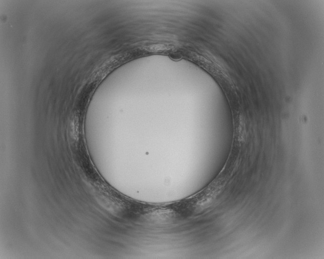 X0000060580210200511241349