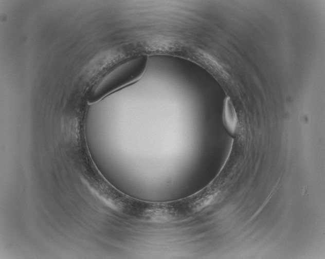 X0000060580211200511241349