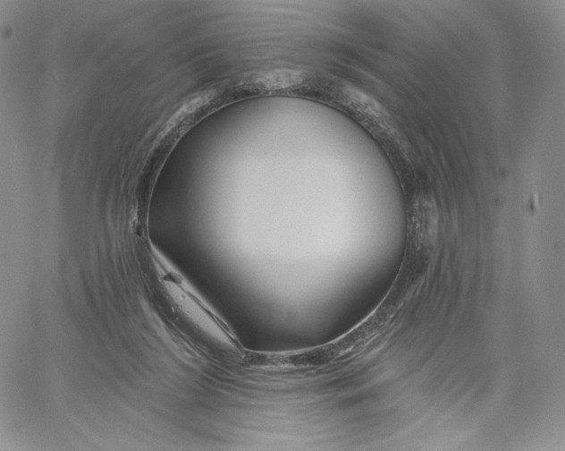 X0000060580212200511241349