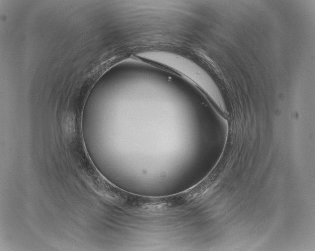 X0000060580213200511241349