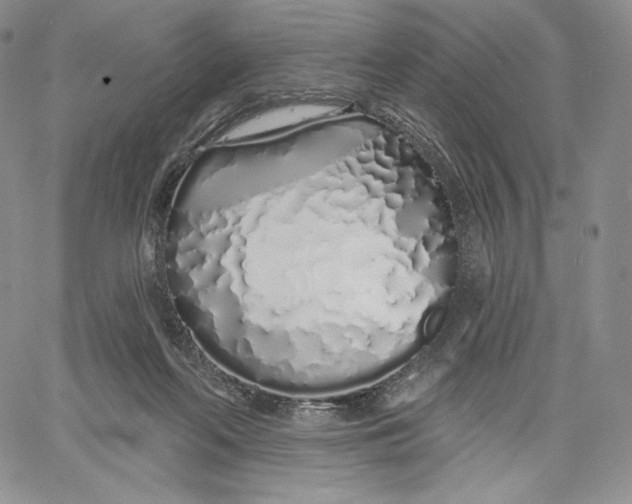 X0000060580214200511241349