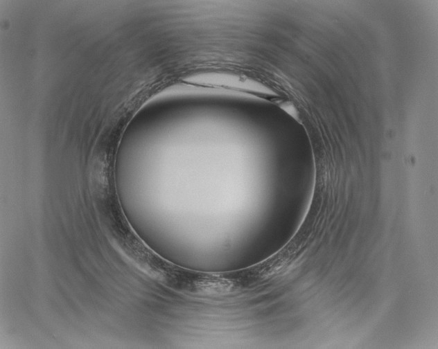 X0000060580215200511241349