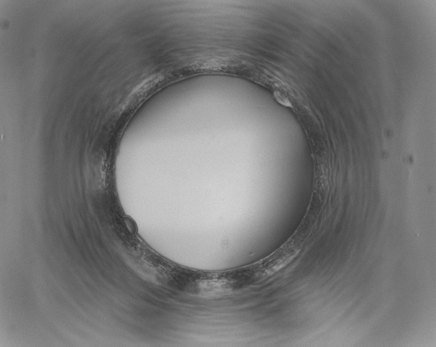 X0000060580216200511241349